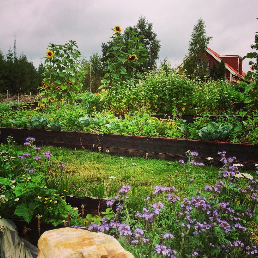 Bed and Breakfast Escape To Paulssonpaleo Simlangsdalen Екстер'єр фото