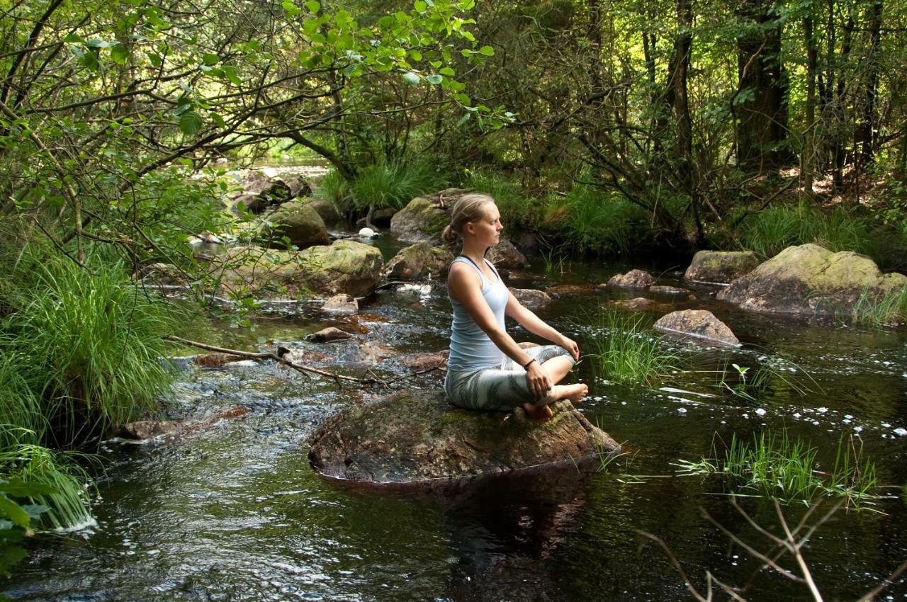 Bed and Breakfast Escape To Paulssonpaleo Simlangsdalen Екстер'єр фото