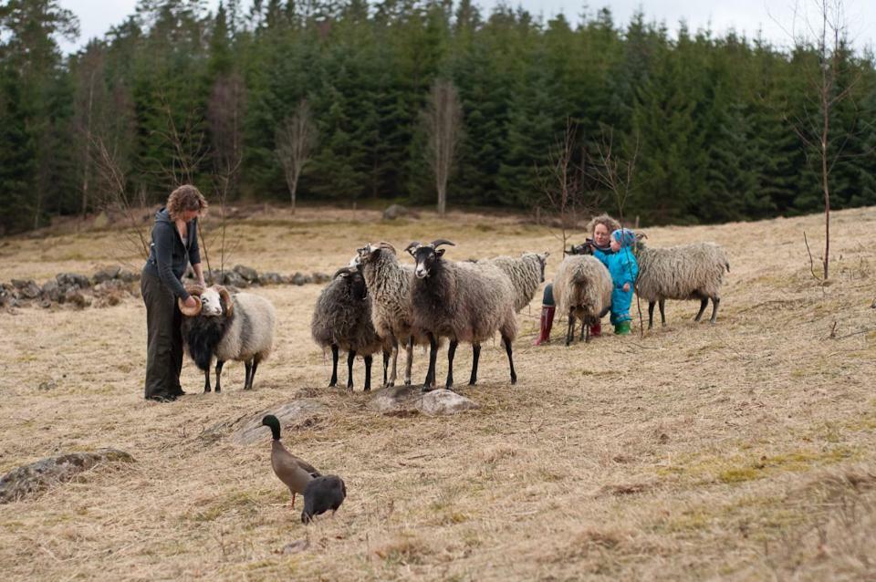 Bed and Breakfast Escape To Paulssonpaleo Simlangsdalen Екстер'єр фото